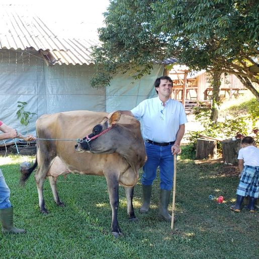Empresa de São Paulo fará leilão de animais de produtores da região