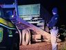 Motorista é flagrado dirigindo caminhão à noite com lanterna de celular
