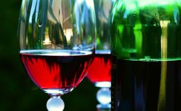 Estudo revela que beber vinho pode diminuir risco de contrair Covid-19