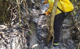 Bombeiros de Itapiranga atendem três ocorrências de incêndio essa semana