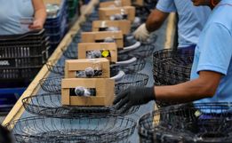 Santa Catarina lidera crescimento da atividade econômica no país com alta de 5,5%