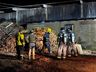 Bombeiros controlam princípio de incêndio em madereira em SMOeste