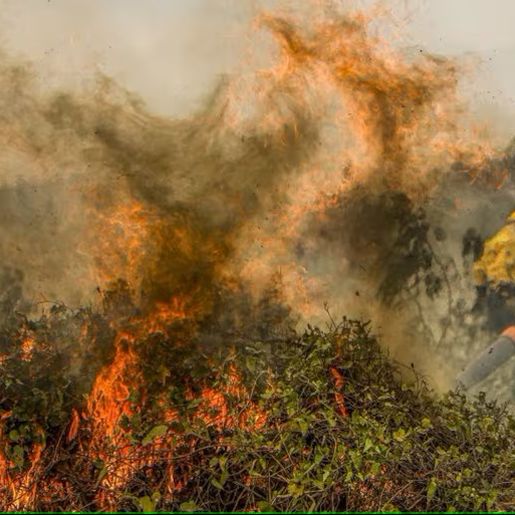 Brasil teve ao menos 1,9 mil focos de incêndio por dia em agosto