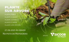 Barra Bonita realiza o plantio de 400 árvores em área próxima do centro