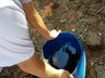Em fiscalização dos agentes da dengue mais um foco é encontrado em SJCedro