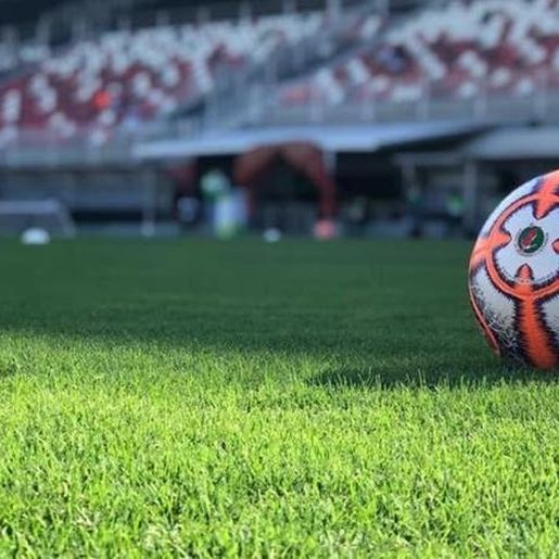 Ministério da Saúde dá aval para CBF liberar volta do torcedor ao estádio