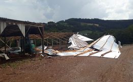 Vídeo: Temporal causa estragos no interior de Iporã do Oeste