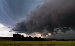 Nesta quarta-feira, SC tem alerta para rajadas de vento com mais de 60 km/h