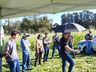 Dia de campo reúne cerca de 30 agricultores em Bandeirante