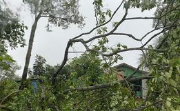 Temporal causa danos durante a madrugada em Itapiranga