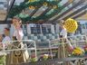 12ª DEUTSCHE WOCHE: 40 entidades participam do Desfile Típico Alemão; fotos