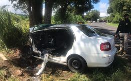 Rapaz fica gravemente ferido após colidir com o carro em árvore na BR 282