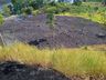 VÍDEO: Incêndio em vegetação mobiliza bombeiros de Itapiranga
