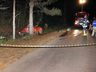 Motorista morre em colisão com árvore na PR-884