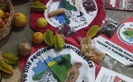 Saltinho sedia encontro do MPA sobre projeto de Quintais Produtivos