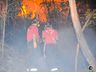 Morador reclama de queimadas constantes em área de reflorestamento de SMOeste 