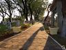 Apenas 2% dos notificados compareceram para manutenção de sepulturas