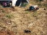 Capotamento é registrado na BR-163 em Guarujá do Sul
