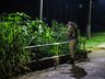 Mulher é presa por furto em São Miguel do Oeste