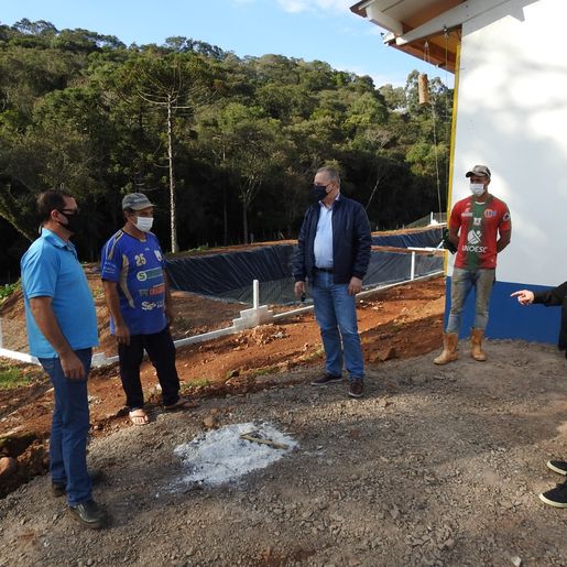 Novas granjas de suínos somam R$ 2 milhões em investimentos