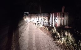 Motorista tem ferimentos graves em acidente com carreta carregada de suínos na SC-161