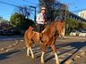 Cavalarianos saem de SMO rumo à Argentina na 2ª Cavalgada Internacional da Cultura Gaúcha 