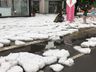 Municípios do Oeste catarinense são atingidos por chuva de granizo