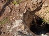 Obra em desacordo com projeto aprovado é suspensa