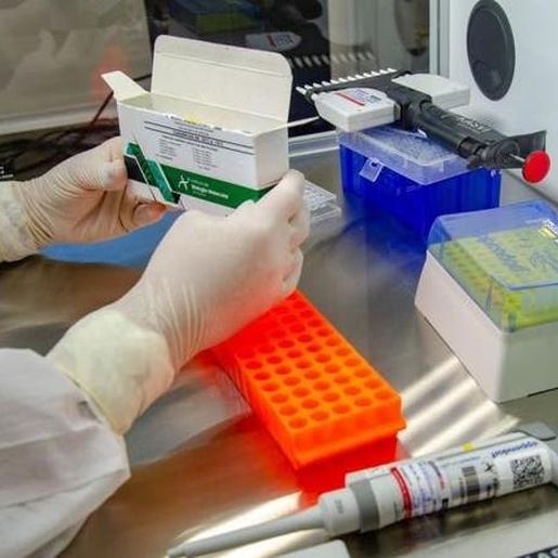 Anvisa interrompe estudos clínicos da vacina Coronavac