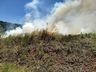 Bombeiros combatem incêndio em São José do Cedro