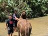 Égua atolada há quase dois dias em córrego é resgatada em SC