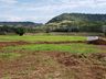 Empreendedor aposta na produção de hortifrutis no interior de Mondaí