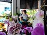 Central Flor, Floricultura e Paisagismo inaugura em São Miguel do Oeste