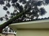 Santa Catarina é atingida pelo segundo tornado em menos de três horas