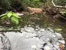 PMA constata poluição e mortandade de peixes em rio de Itapiranga