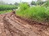 VÍDEO: Caminhão carregado com suínos tomba no interior de Iporã do Oeste