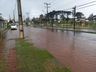 Temporal causa estragos em São Miguel do Oeste; fotos