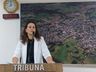 Câmara de Vereadores promove Audiência sobre Segurança nas Escolas e Creches