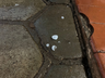 Temporal com chuva de granizo causa estragos na região Extremo-Oeste catarinense