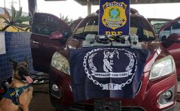PRF apreende drogas, armas e munições escondidas na lataria de carro na BR 163 em Guaraciaba