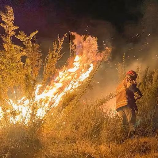 Incêndios florestais causaram prejuízo de R$ 14,7 bilhões na agricultura, estima CNA