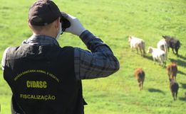 Cidasc intensifica atividades em maio e celebra avanços na sanidade agropecuária em SC