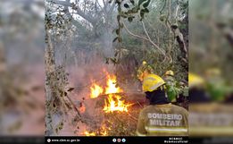 VÍDEO: Bombeiros que atuaram na Operação Pantanal retornam a SC