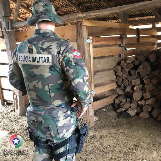 Polícia Militar Ambiental apreende palanques na fronteira 