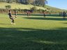 Flamengo vence e assume liderança do municipal de campo em Cedro