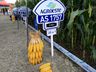 Cooperalfa envolve centenas de agricultores na 3ª Noite de Campo em SJCedro