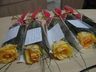 Câmara de Vereadores inaugura galeria Lilás e presta homenagem às mulheres