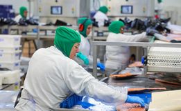 Santa Catarina tem taxa de desemprego menor do que todos os países do G7