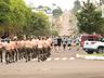 Corrida do Soldado é realizada em São Miguel do Oeste; fotos