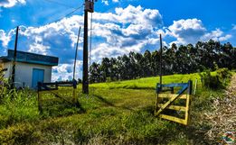 OUÇA: Peperi anuncia projeto para Parque Florestal na Linha Emboaba